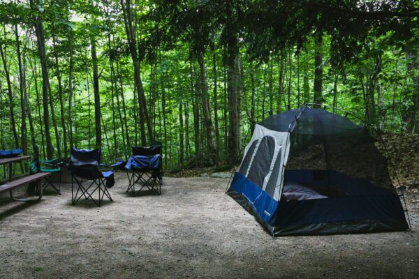 Albany Camping